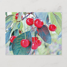 Sweet Cherries Briefkaart