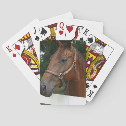 Sweet Chestnut Horse Deck of Cards Speelkaarten (Achterkant)