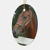 Sweet Chestnut Horse Ornament (Links)