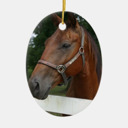 Sweet Chestnut Horse Ornament (Voorkant)