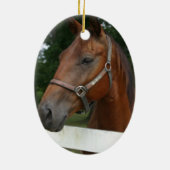 Sweet Chestnut Horse Ornament (Achterkant)