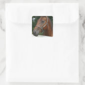 Sweet Chestnut Horse Stickers (Tas)