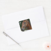 Sweet Chestnut Horse Stickers (Envelop)