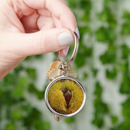 Sweet Chestnut Key Ring Sleutelhanger (Hand)