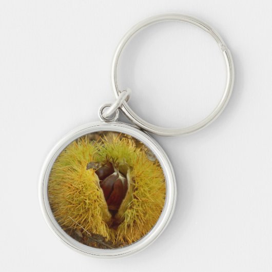 Sweet Chestnut Key Ring Sleutelhanger (Voorkant)