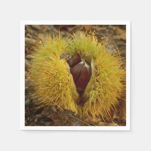 Sweet Chestnut Paper Napkins Servetten (Voorkant)