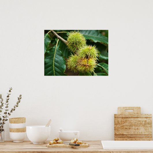 Sweet Chestnut Poster (Keuken)