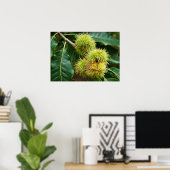 Sweet Chestnut Poster (Thuiskantoor)