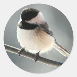 Sweet Chick Stickers