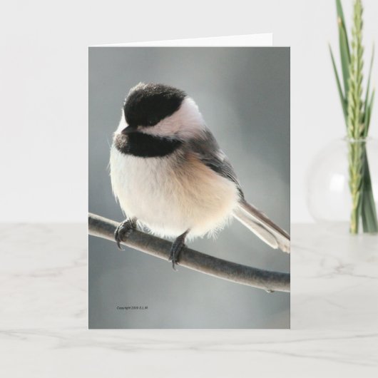 Sweet Chickadee Kaart (Voorkant)