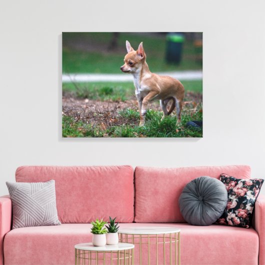Sweet Chihuahua Puppy Gundog Wannabe Canvas Afdruk (Insitu (Woonkamer))