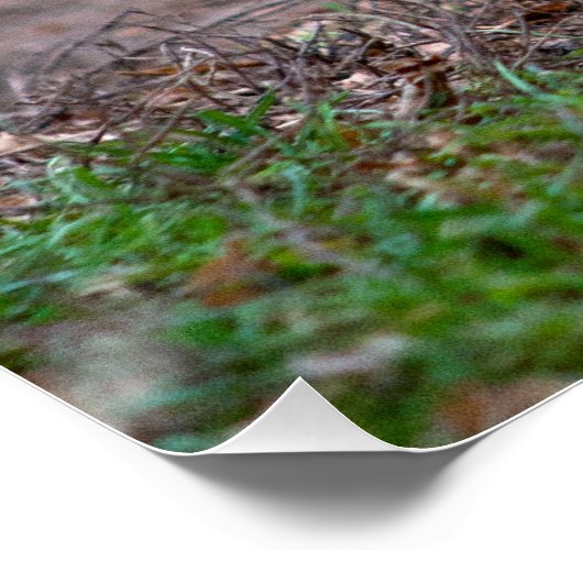 Sweet Chihuahua Puppy Gundog Wannabe Perfect Poster (Hoek)