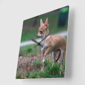 Sweet Chihuahua Puppy Gundog Wannabe Vierkante Klok (Hoek)