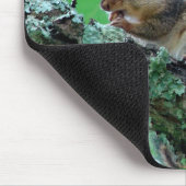 Sweet Chipmunk in een boom Apparel en Gifts Muismat (Hoek)