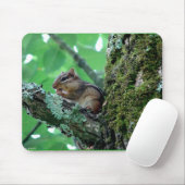 Sweet Chipmunk in een boom Apparel en Gifts Muismat (Met muis)