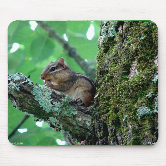 Sweet Chipmunk in een boom Apparel en Gifts Muismat (Voorkant)