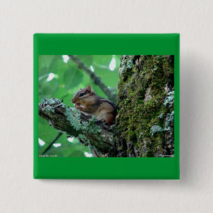 Sweet Chipmunk in een boom Apparel en Gifts Vierkante Button 5,1 Cm
