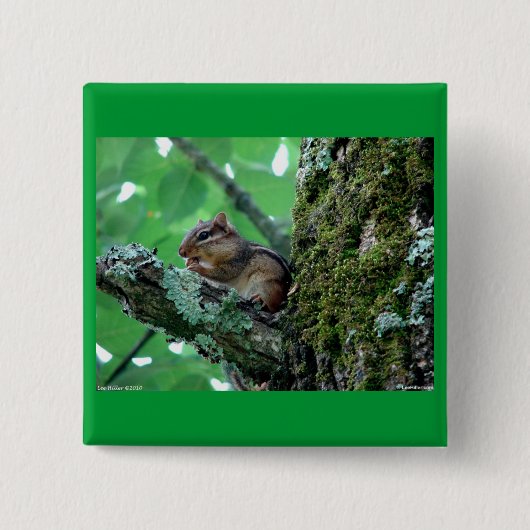 Sweet Chipmunk in een boom Apparel en Gifts Vierkante Button 5,1 Cm (Voorkant)