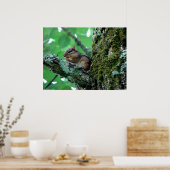 Sweet Chipmunk in een Poster met bomen (Keuken)
