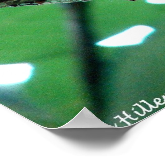 Sweet Chipmunk in een Poster met bomen (Hoek)