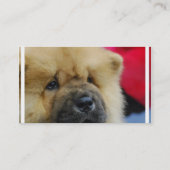 Sweet Chow Chow Visitekaartje (Achterkant)