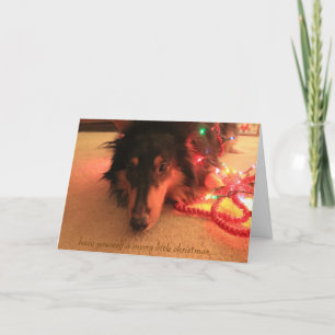 Sweet Collie Christmas, heb jezelf een heel vrolij Feestdagen Kaart