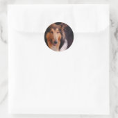 Sweet Collie Ronde Sticker (Tas)