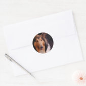 Sweet Collie Ronde Sticker (Envelop)