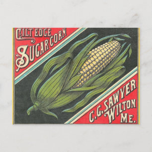 Sweet Corn Briefkaart