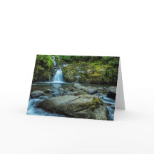 Sweet Creek Herfsten