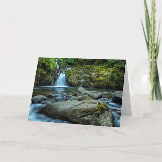 Sweet Creek Herfsten Kaart (Voorkant)