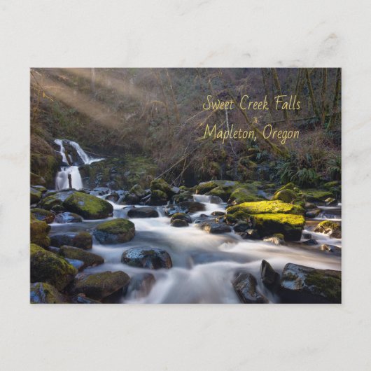 Sweet Creek Herfsten Oregon Briefkaart (Voorkant)