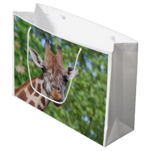 Sweet Curios-Giraffe Large Cadeautasje