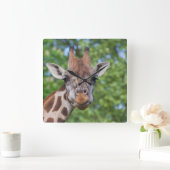 Sweet Curios-Giraffe Vierkante Klok (Huis)