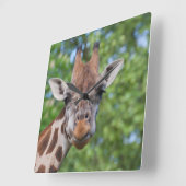 Sweet Curios-Giraffe Vierkante Klok (Hoek)