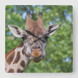 Sweet Curios-Giraffe Vierkante Klok