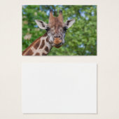 Sweet Curios-Giraffe Visitekaartje (Voorkant /achterkant)