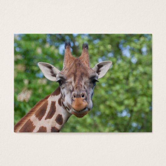 Sweet Curios-Giraffe Visitekaartje (Voorkant)