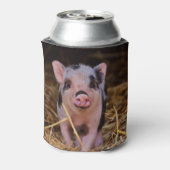 Sweet Cute Pig Blikjeskoeler (Blikje Achterkant)