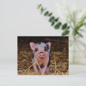 Sweet Cute Pig Briefkaart (Staand voorkant)