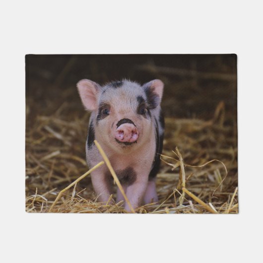 Sweet Cute Pig Deurmat (Voorkant)
