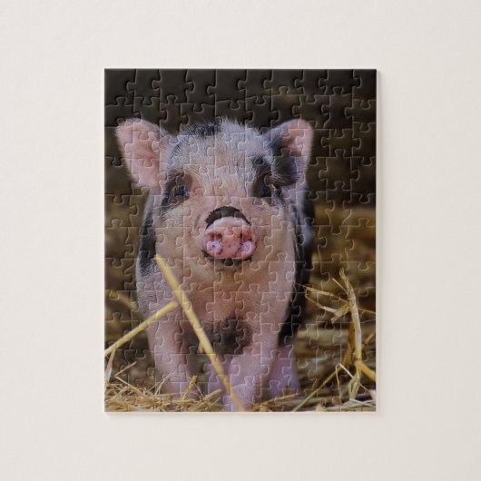 Sweet Cute Pig Legpuzzel (Verticaal)