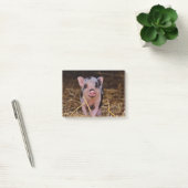 Sweet Cute Pig Post-it® Notes (Kantoor)
