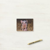 Sweet Cute Pig Post-it® Notes (Op bureau)