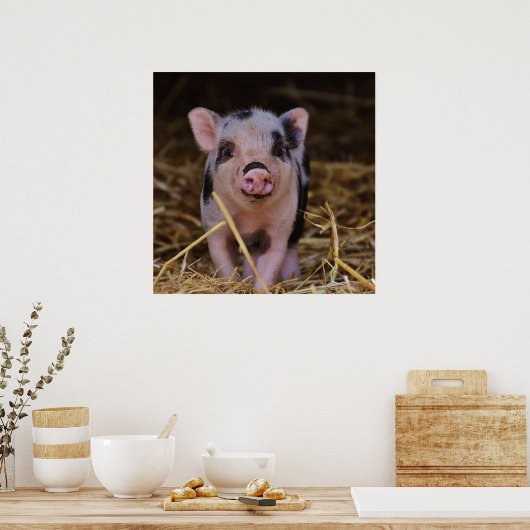 Sweet Cute Pig Poster (Keuken)