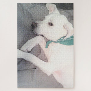 Sweet Cute Puppy Dog die een groene zar heeft Legpuzzel
