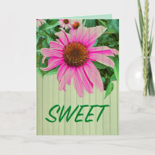 SWEET daisy paarse roze coneflower tuin noot Kaart