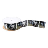 Sweet Dalmatian Pup Satijnen Lint (Spoel)