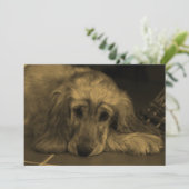 Sweet Dog - Golden Retriever in Sepia Tones Kaart (Staand voorkant)