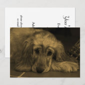 Sweet Dog - Golden Retriever in Sepia Tones Kaart (Voorkant / Achterkant)